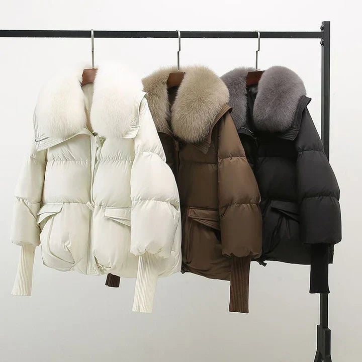 Giselle – Timeless Jacket